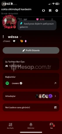 2021 Discord Hesabı Gold Badge 6 ay boost takviyeli
