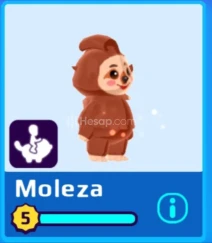 PK XD MOLEZA BİNEK DEĞERLİ PET PK XD