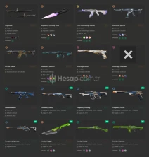 EU - ARCANE VANDAL - 2 ÖZEL BIÇ - 82 SKIN - 24K VP 