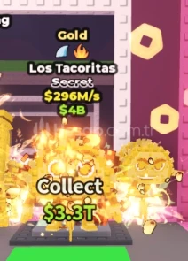 🌟LOS TACORİTAS 296 M NADİR PET 🌟