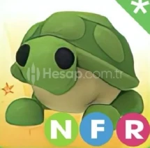 🐢1 Adet NFR TURTLE | ADOPT ME🐢