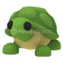 🐢 1 Adet R TURTLE | ADOPT ME 🐢