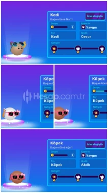 PKXD GÖRÜLMEMİŞ FIRSAT 2019 BEBEK PETLER BURADA