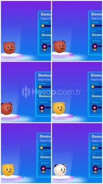 2019 BEBEK DOMUZLAR HEPSİ PERFECT