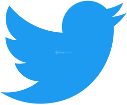 2010-2023 Eski Tarihli 0-30 Takipçili Twitter Hesapları