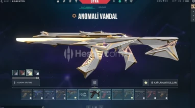 35 SKİN 4 VANDAL  FULL ANOMALİ SETLİ