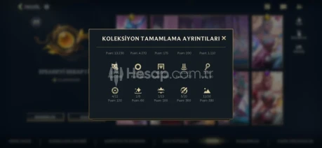 510 skinli Wild Rift Hesabı 37 şampiyon skini full