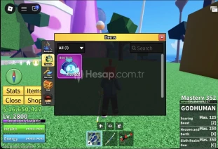 ⭐PORTAL FRUIT | BLOX FRUITS | 2800