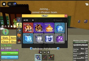 ⭐TIGER FRUIT | 2800 LEVEL | BLOX FRUITS