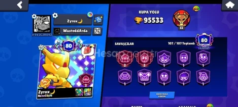 95 k lık 80 prestejli satürün şöhretli hesap