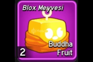 Buddha Fruit  Buddha Fruit  Blox Fruits