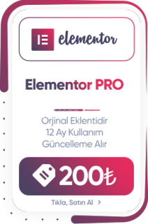 Elementor Pro Lisans – 1 Yıllık