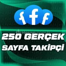 Facebook 250 Gerçek Sayfa Takipçi