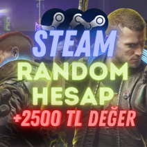 Steam +2500 TL Değerinde Oyun Garantili Hesap