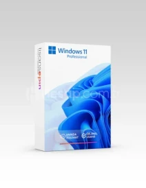 Microsoft Windows 11 Pro Lisans