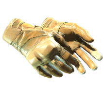 ★ Moto Gloves | Transport (Field-Tested)
