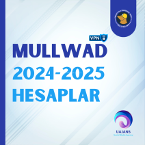 Mullwad Vpn (2024 2025 Arası Random)