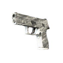 P250 | Sleet (Minimal Wear)