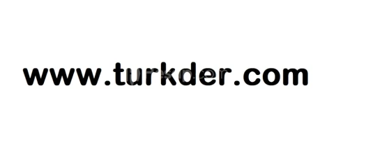 SATILIK ANLAMLI  ALAN ADI www.turkder.com