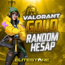 VALORANT GOLD+ RANDOM HESAPLAR