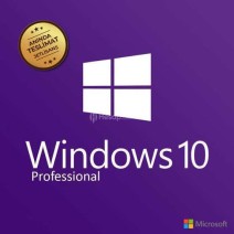 Windows 10 Pro Retail Dijital Lisans