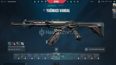 YAĞMACI VANDALLI PLAT 2 TERTEMİZ HESAP