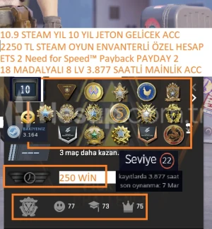 18 MADALYALI 8 LV 150 TL CS GO ENVANTERLİ NFS PAYBACK