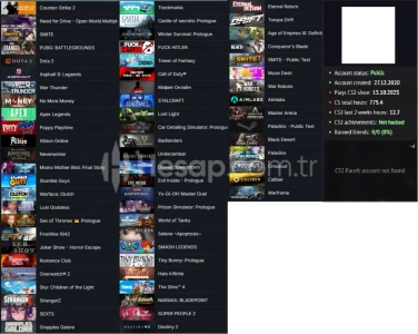 3 MADALYALI 30 LV 450 TL CS GO ENVANTERLİ 750 TL