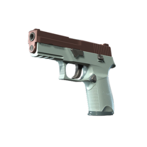 P250 | Copper Oxide (Minimal Wear)
