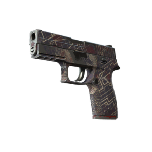 P250 | Facility Draft (Field-Tested)