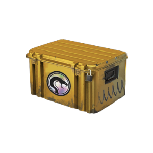 Recoil Case