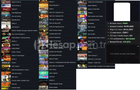 STEAM LV 32 Hearts of Iron IV Horizon 4 Mortal Kombat 11