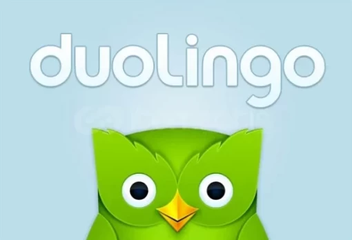 Canva Edu Öğrenci + Duolingo Edu Öğrenci