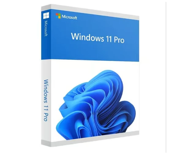 Windows 10 Pro OEM Lisans Anahtarı