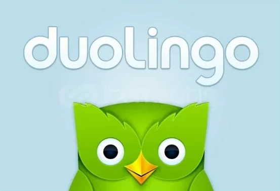 Canva Pro + Duolingo Edu - Ömür boyu kullanım