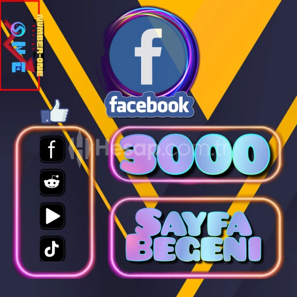 Facebook 3000 Sayfa Beğeni + Takipçi / İkisi Bir Arada /