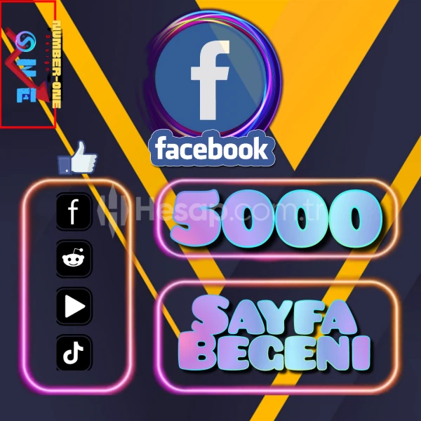 Facebook 5000 Sayfa Beğeni + Takipçi / İkisi Bir Arada /
