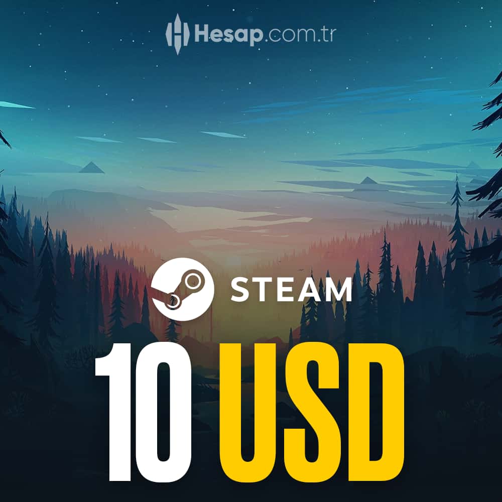 Steam 10 USD Cüzdan Kodu