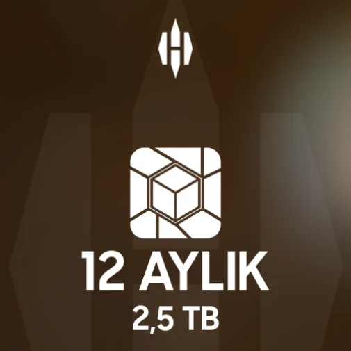 Lifebox 12 Aylık 2,5 TB