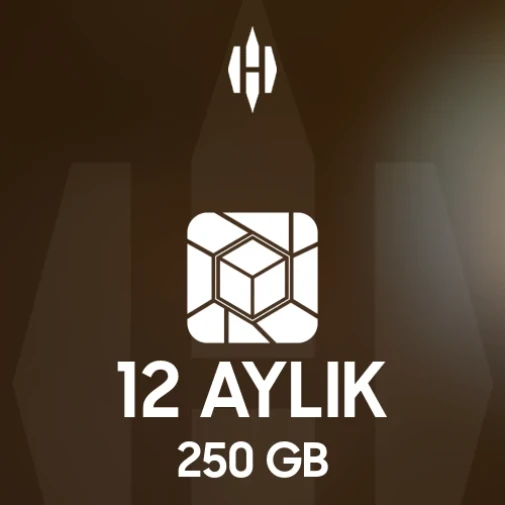 Lifebox 12 Aylık 250 GB